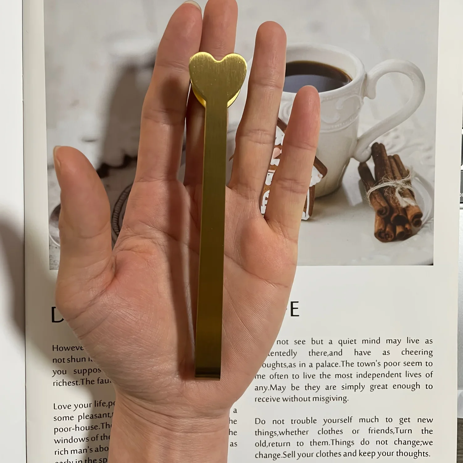 Stainless Steel Heart-Shaped M - Coffee Tea Day 评论和价格